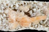 Peach Stilbite Crystals on Sparkling Quartz Chalcedony - India #168759-1